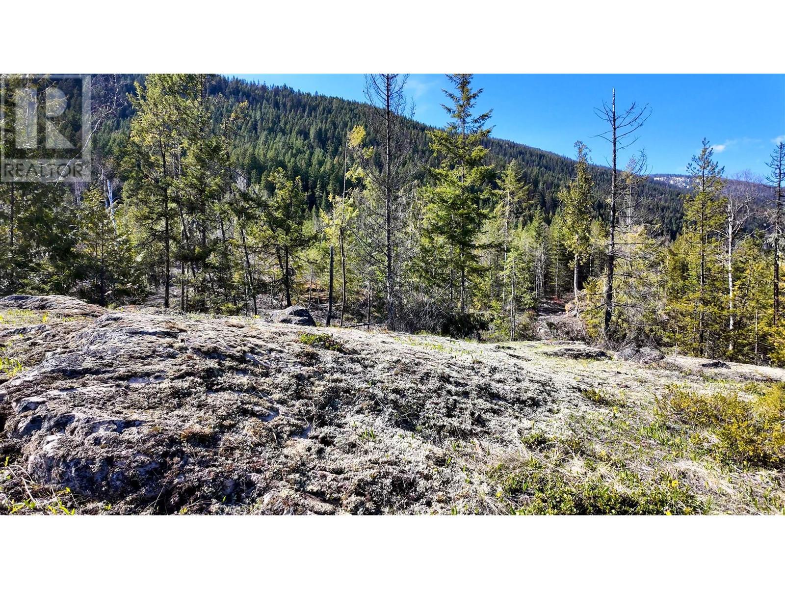 Dl 12488 Mckean Road, Appledale, British Columbia  V0G 2J0 - Photo 18 - 10344097