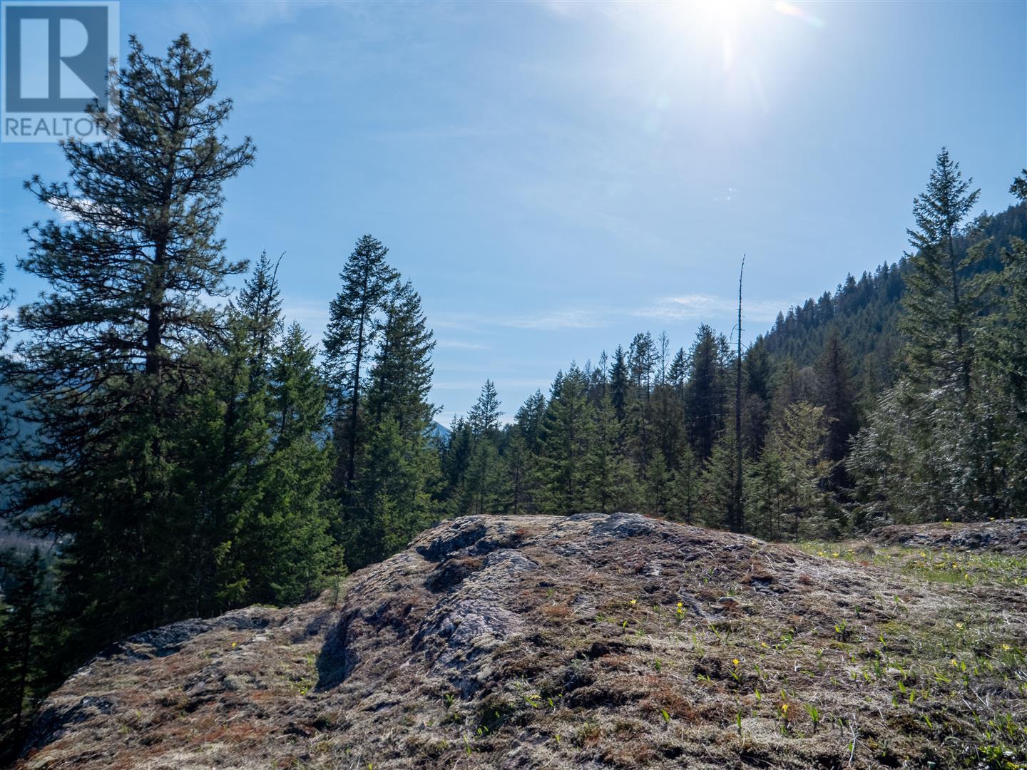 Dl 12488 Mckean Road, Appledale, British Columbia  V0G 2J0 - Photo 21 - 10344097