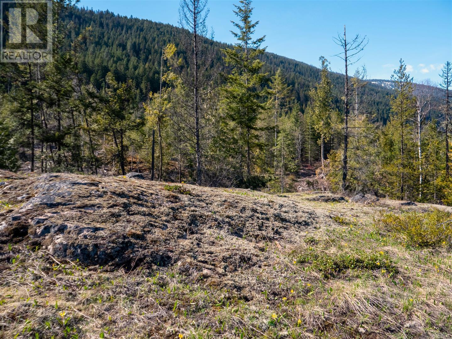 Dl 12488 Mckean Road, Appledale, British Columbia  V0G 2J0 - Photo 23 - 10344097