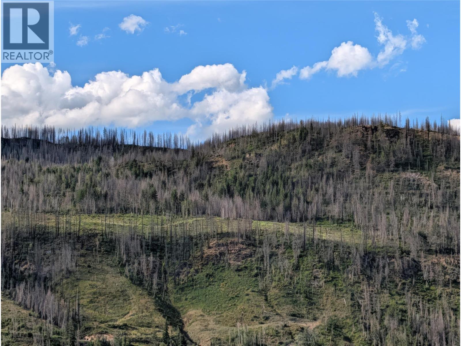 Partsw1/4 Squilax-Anglemont Road, Celista, British Columbia  V0E 1M6 - Photo 3 - 10343144