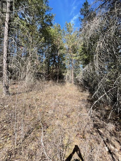 10451 Westshore Road, Vernon, British Columbia  V1H 2B2 - Photo 10 - 10344844