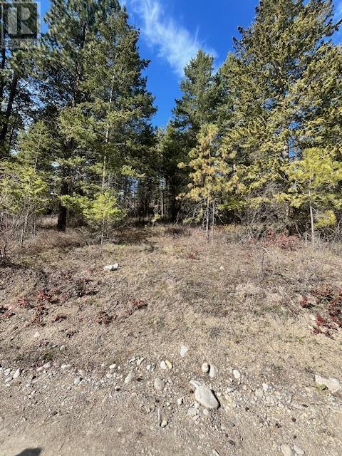 10451 Westshore Road, Vernon, British Columbia  V1H 2B2 - Photo 12 - 10344844