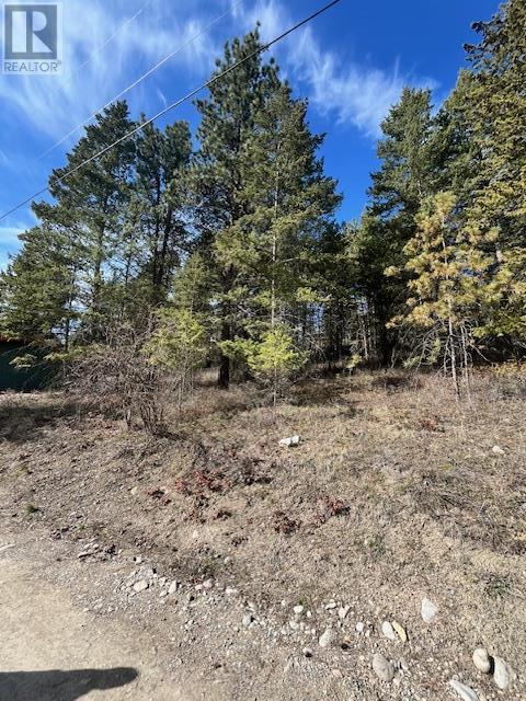 10451 Westshore Road, Vernon, British Columbia  V1H 2B2 - Photo 13 - 10344844