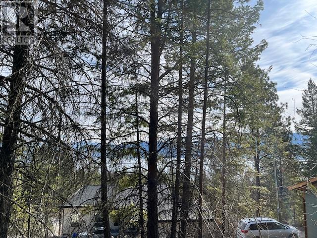 10451 Westshore Road, Vernon, British Columbia  V1H 2B2 - Photo 7 - 10344844