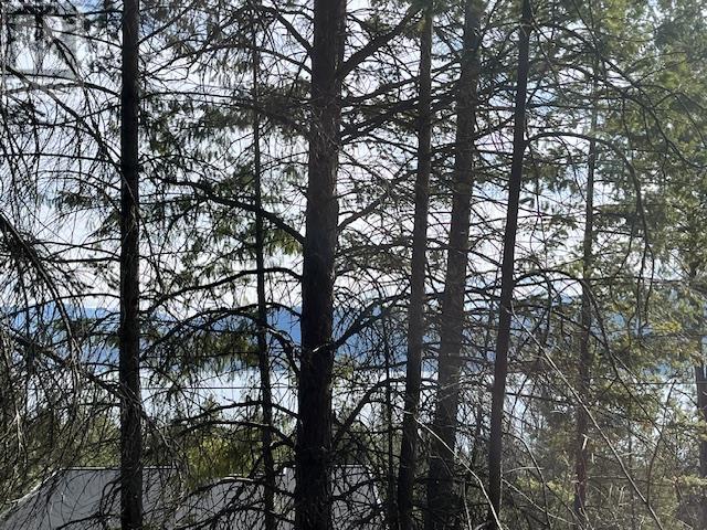 10451 Westshore Road, Vernon, British Columbia  V1H 2B2 - Photo 8 - 10344844