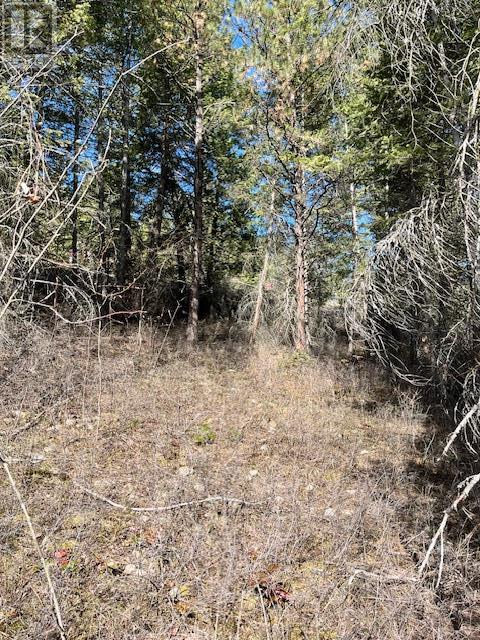 10451 Westshore Road, Vernon, British Columbia  V1H 2B2 - Photo 9 - 10344844