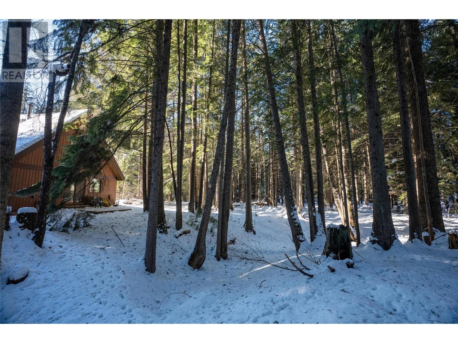 3014 Mcinnes Road, Revelstoke, British Columbia  V0E 2S0 - Photo 10 - 10329489