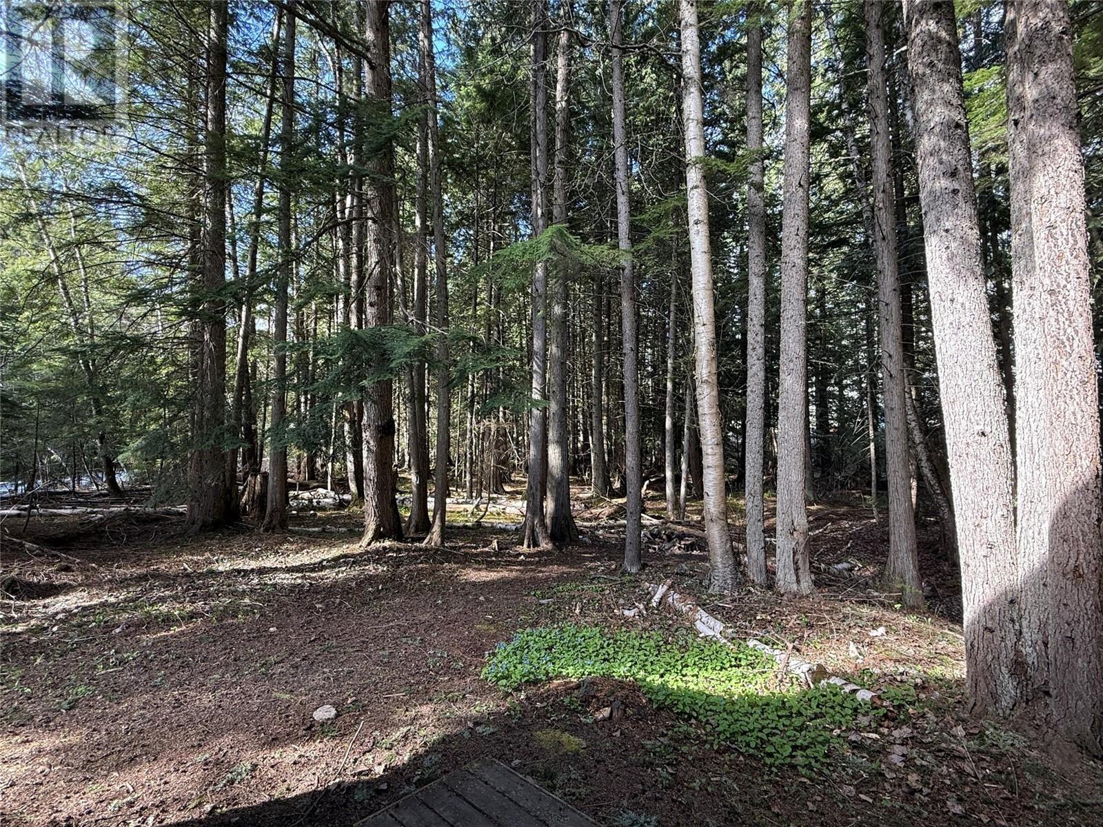 3014 Mcinnes Road, Revelstoke, British Columbia  V0E 2S0 - Photo 6 - 10329489