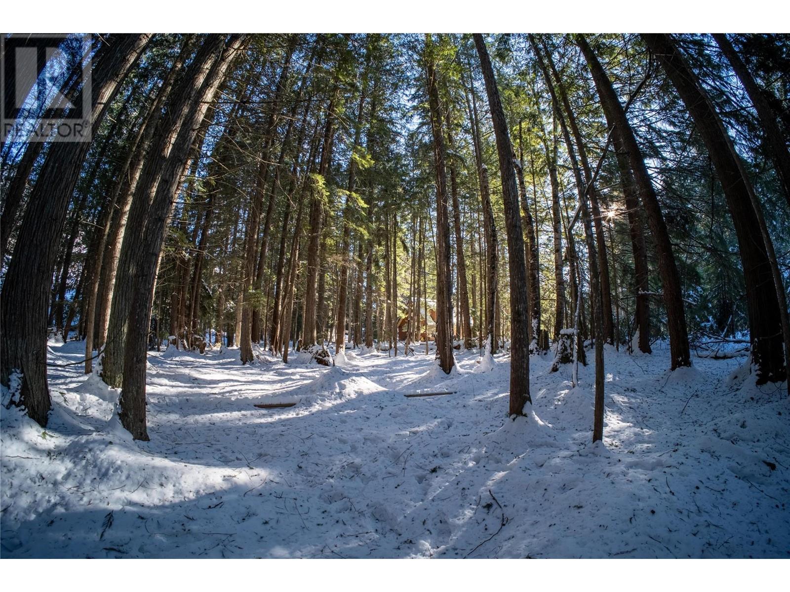 3014 Mcinnes Road, Revelstoke, British Columbia  V0E 2S0 - Photo 9 - 10329489