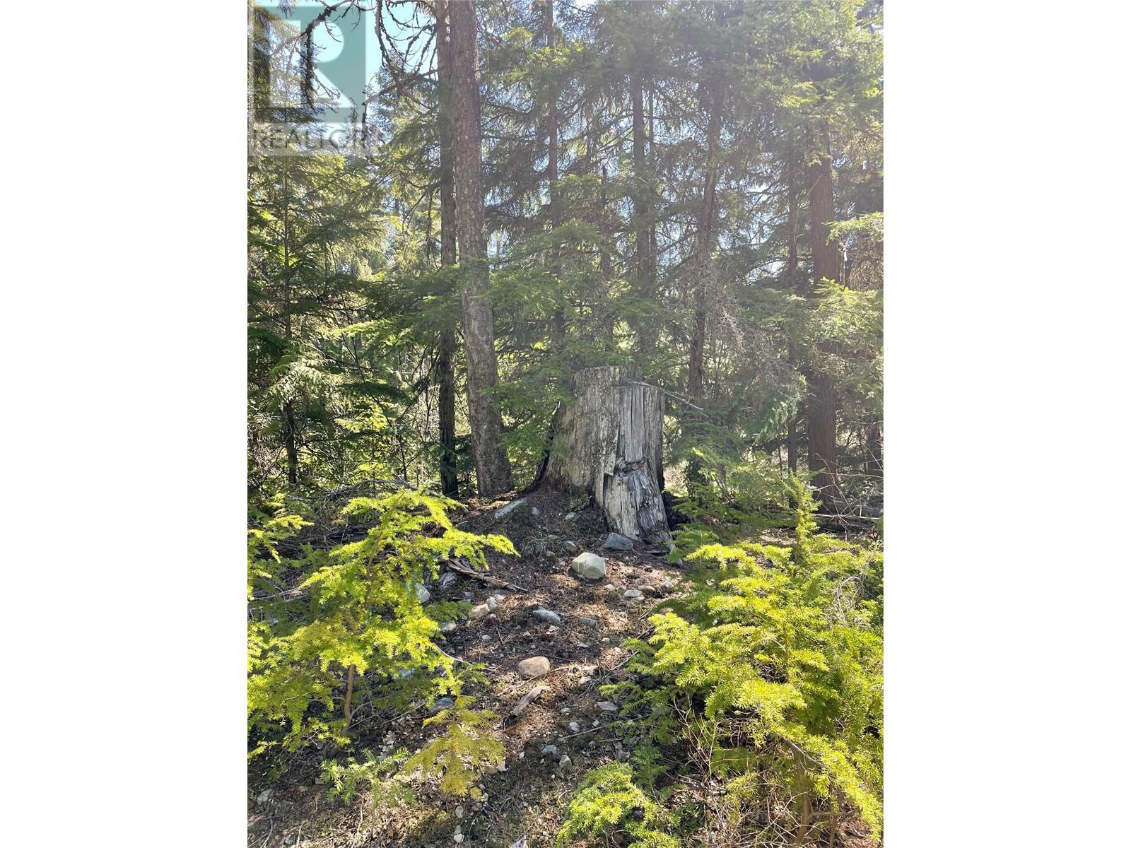 Lot A Vincent Road, Wynndel, British Columbia  V0B 1G8 - Photo 15 - 10344986