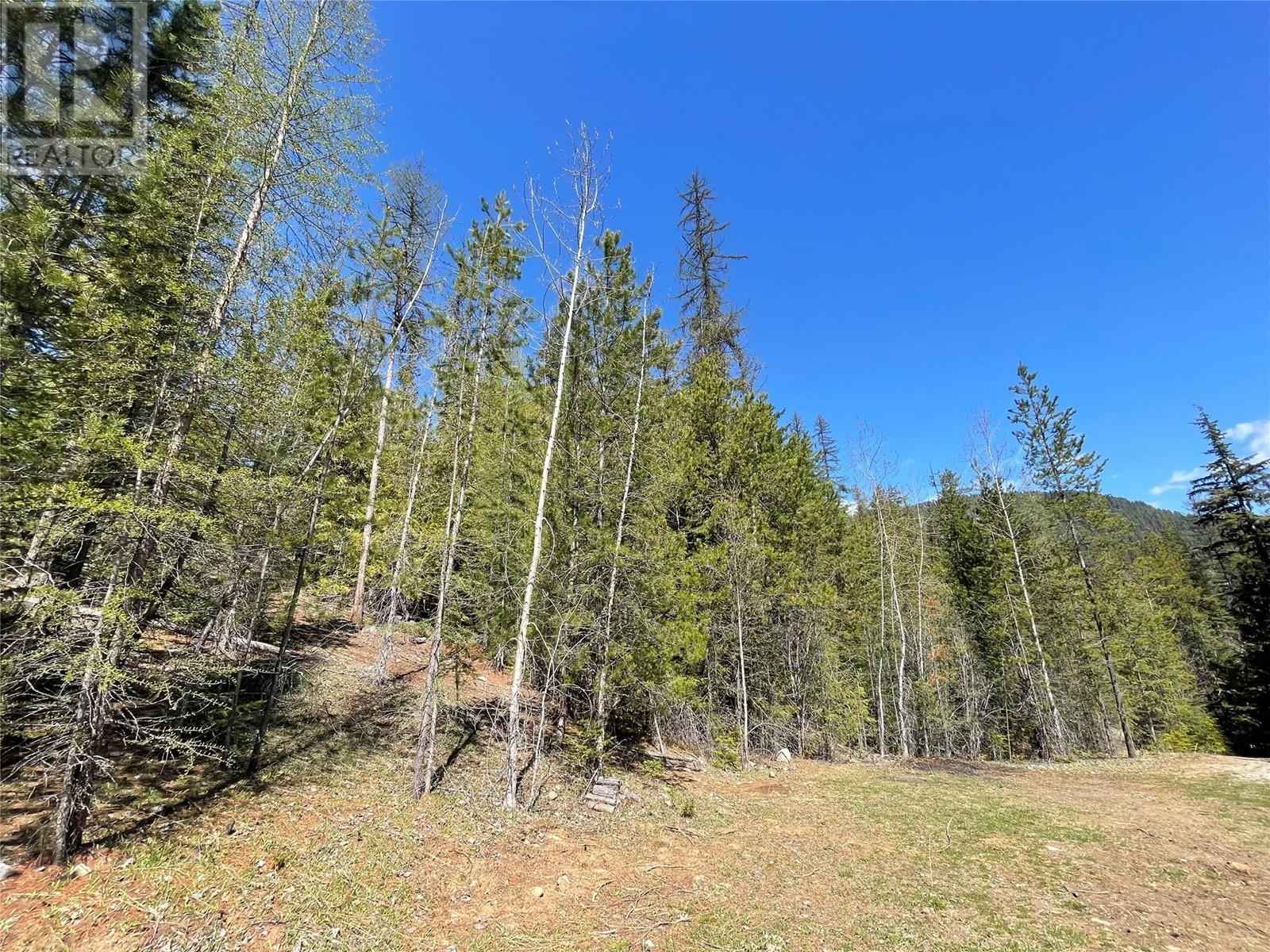 Lot A Vincent Road, Wynndel, British Columbia  V0B 1G8 - Photo 9 - 10344986