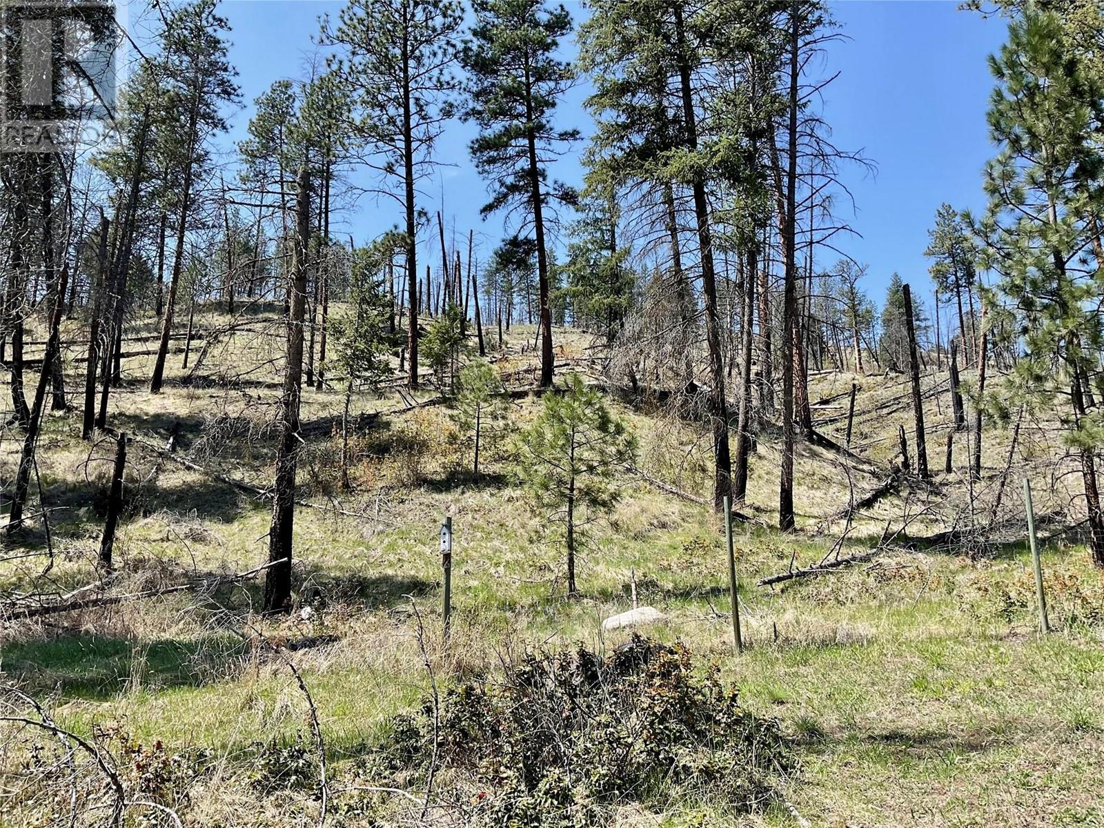 1715 33 Highway, Rock Creek, British Columbia  V0H 1Y0 - Photo 16 - 10345256