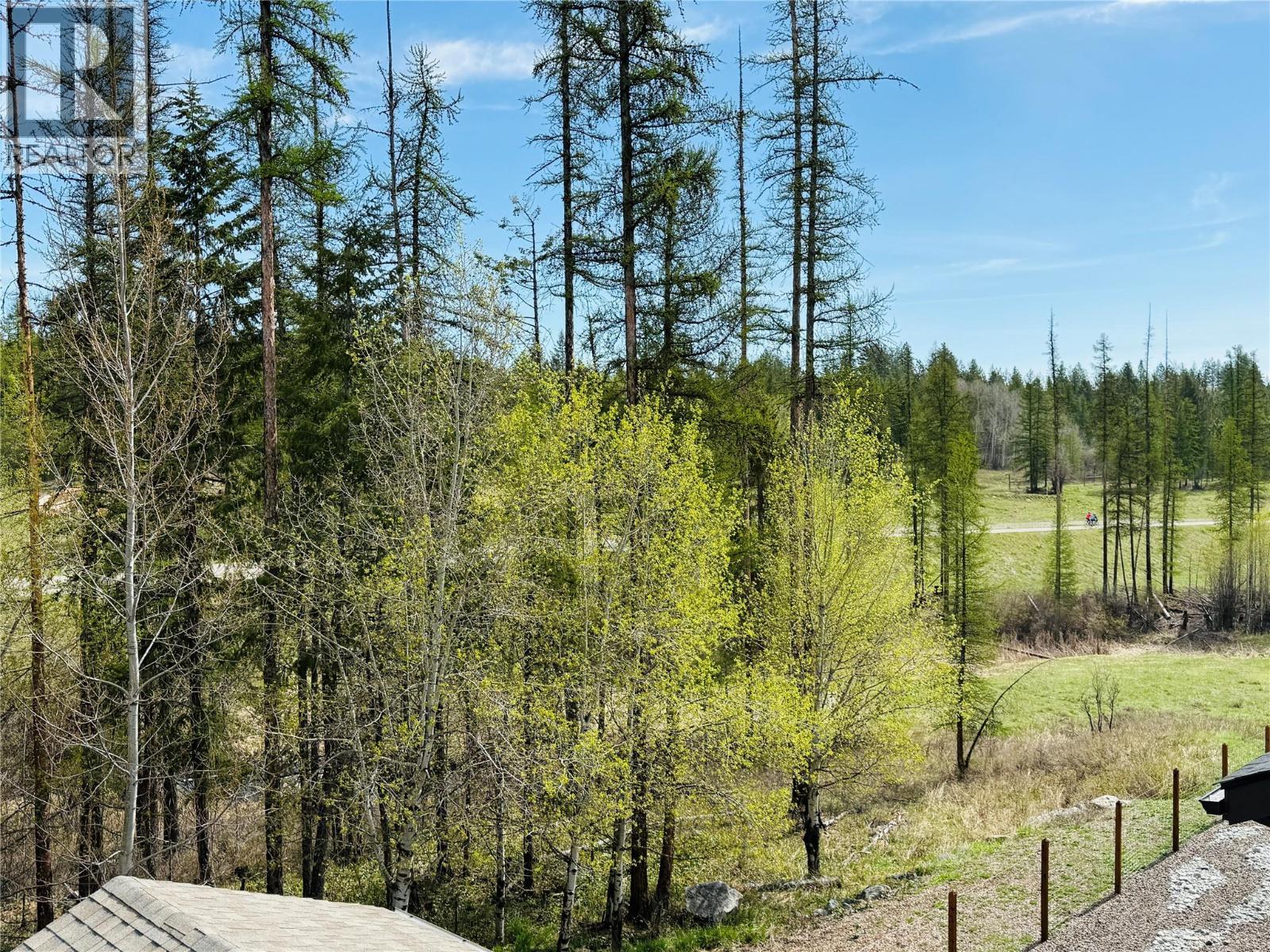 940 313th Drive, Kimberley, British Columbia  V1A 3J8 - Photo 43 - 10337745