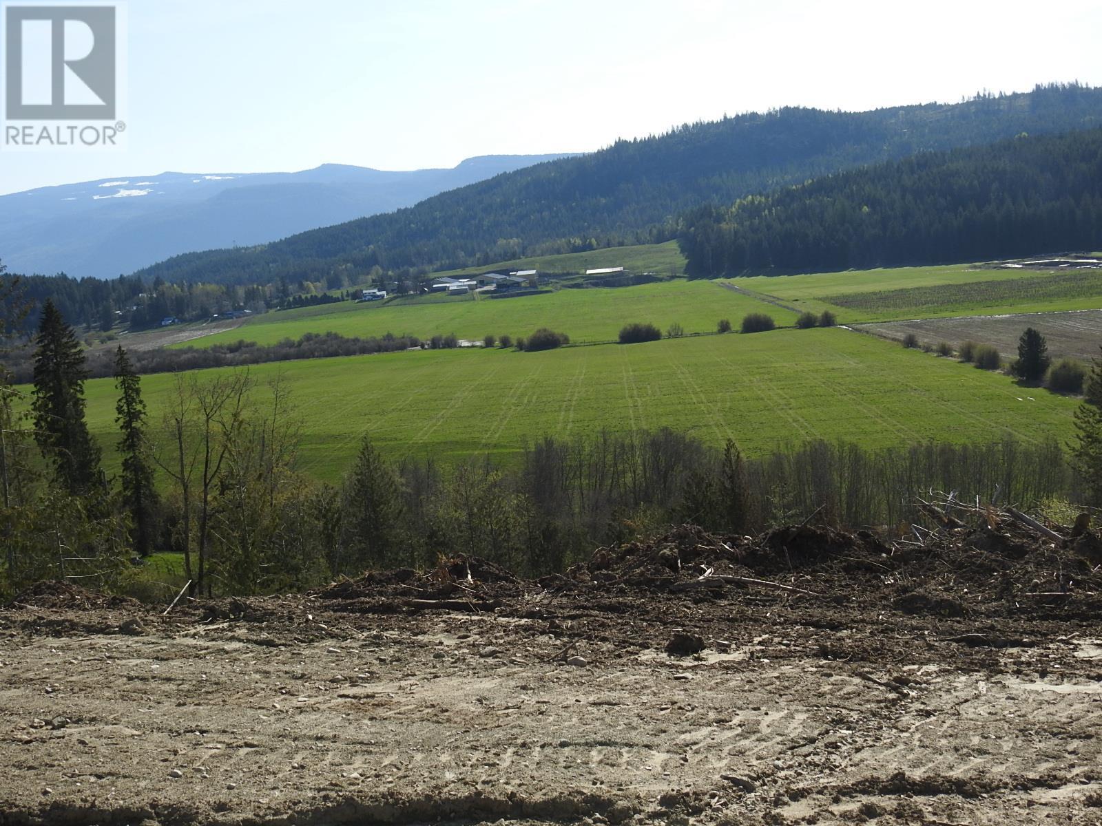 878 Deep Creek Road, Enderby, British Columbia  V0E 1V3 - Photo 10 - 10345606