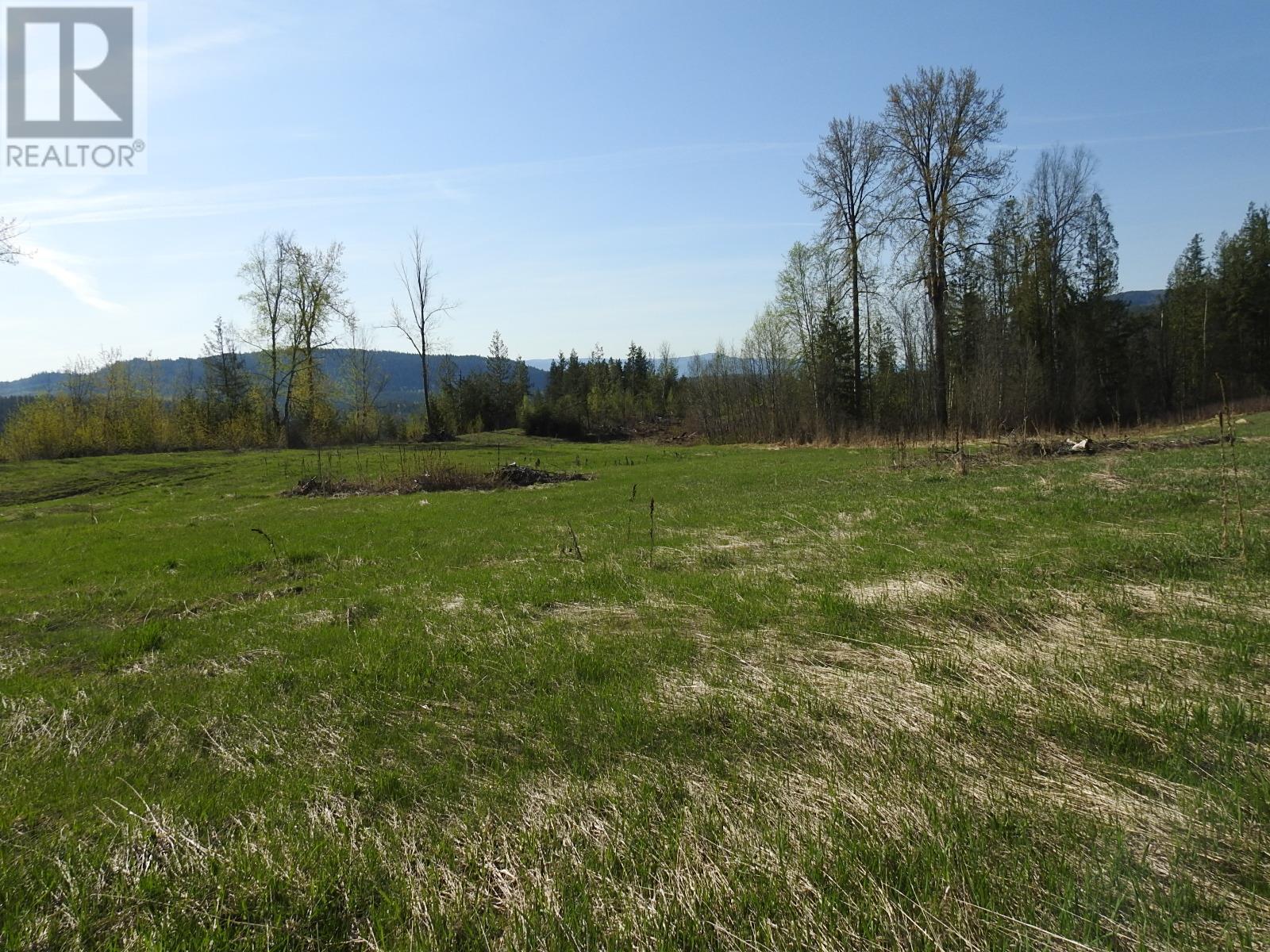 878 Deep Creek Road, Enderby, British Columbia  V0E 1V3 - Photo 14 - 10345606