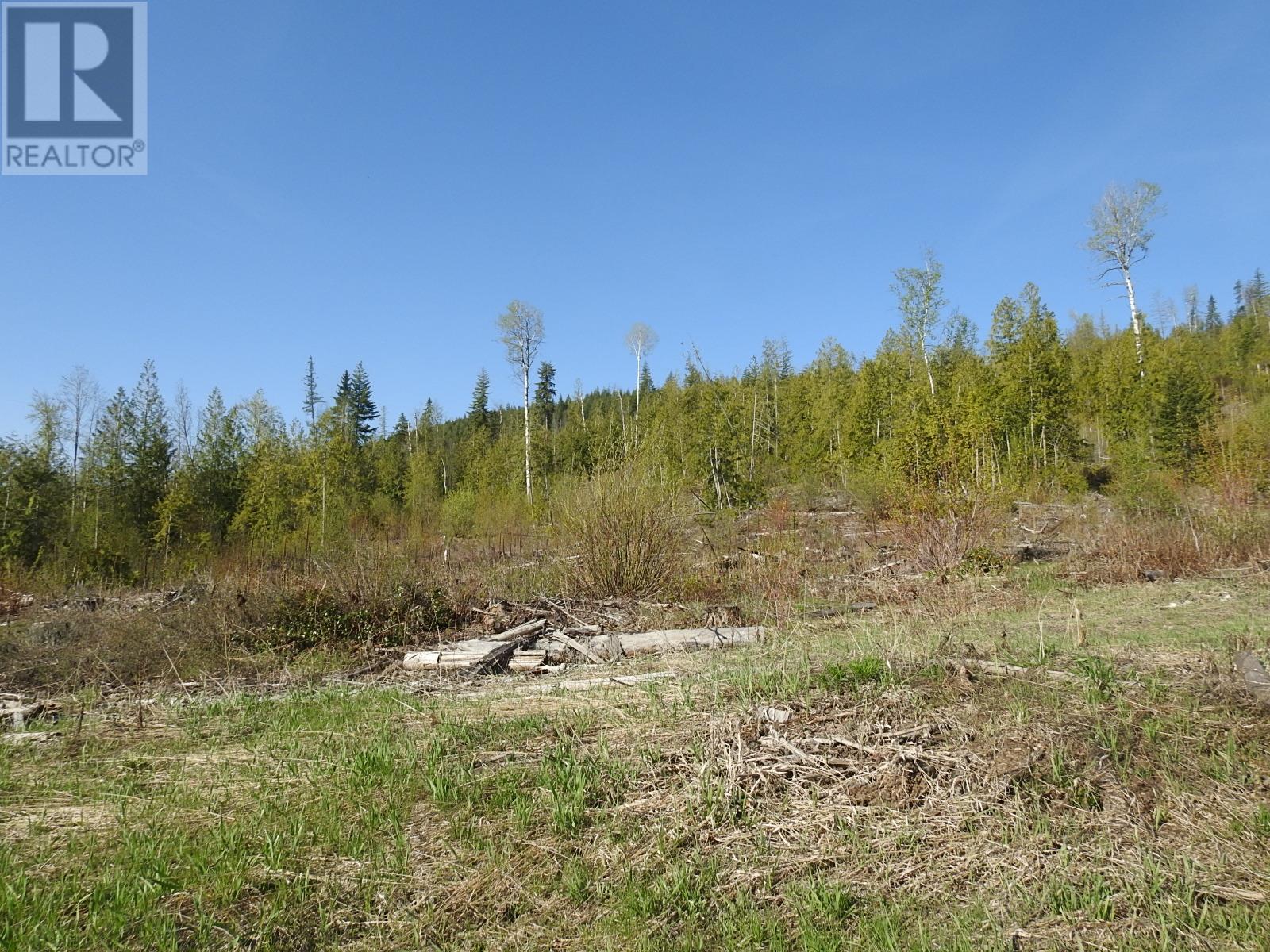 878 Deep Creek Road, Enderby, British Columbia  V0E 1V3 - Photo 15 - 10345606