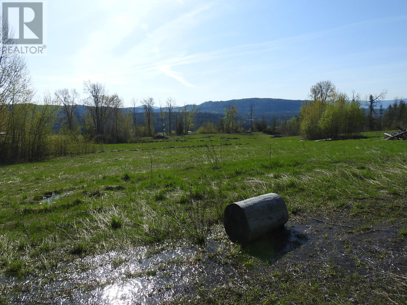 878 Deep Creek Road, Enderby, British Columbia  V0E 1V3 - Photo 21 - 10345606