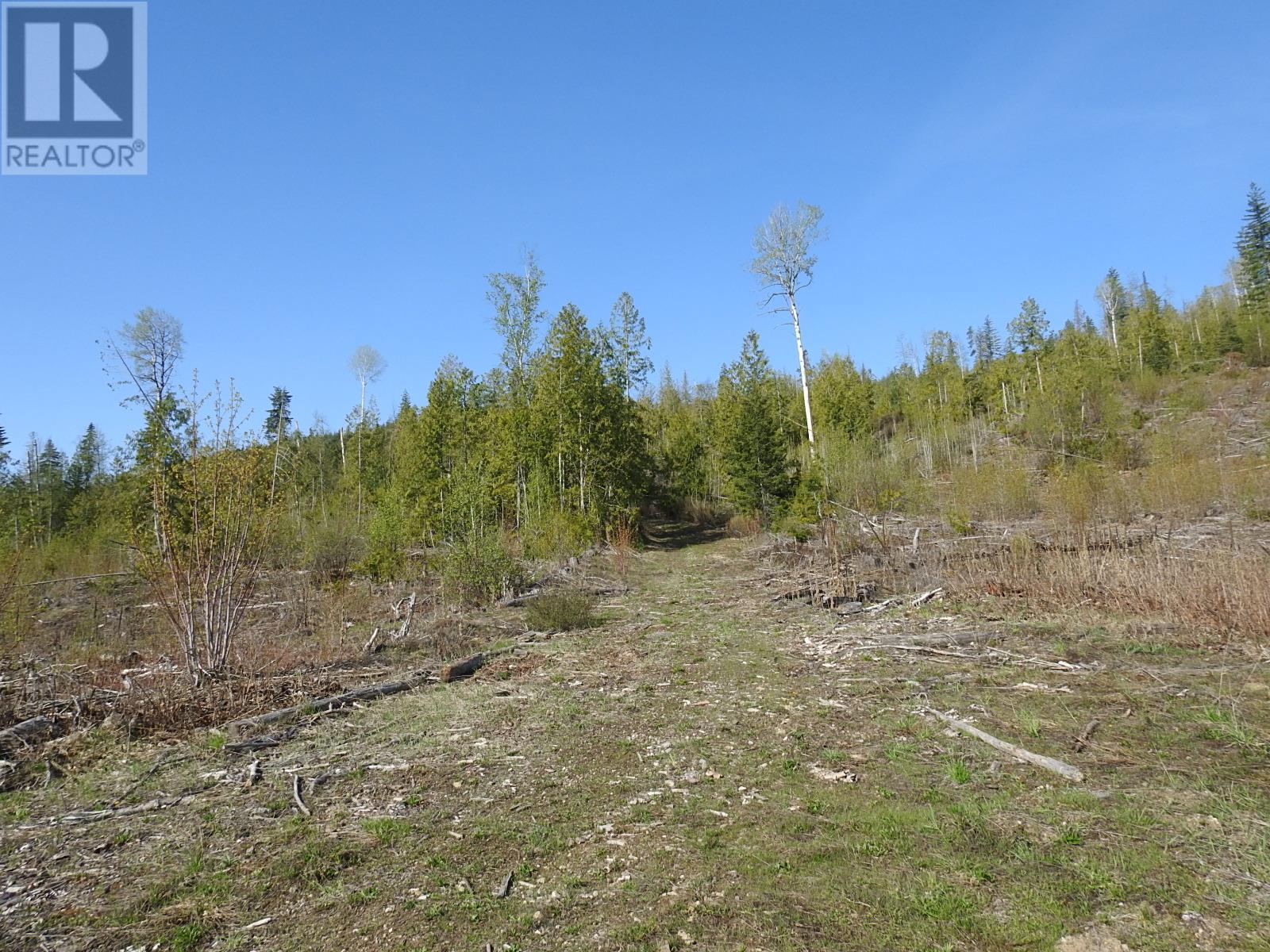 878 Deep Creek Road, Enderby, British Columbia  V0E 1V3 - Photo 22 - 10345606