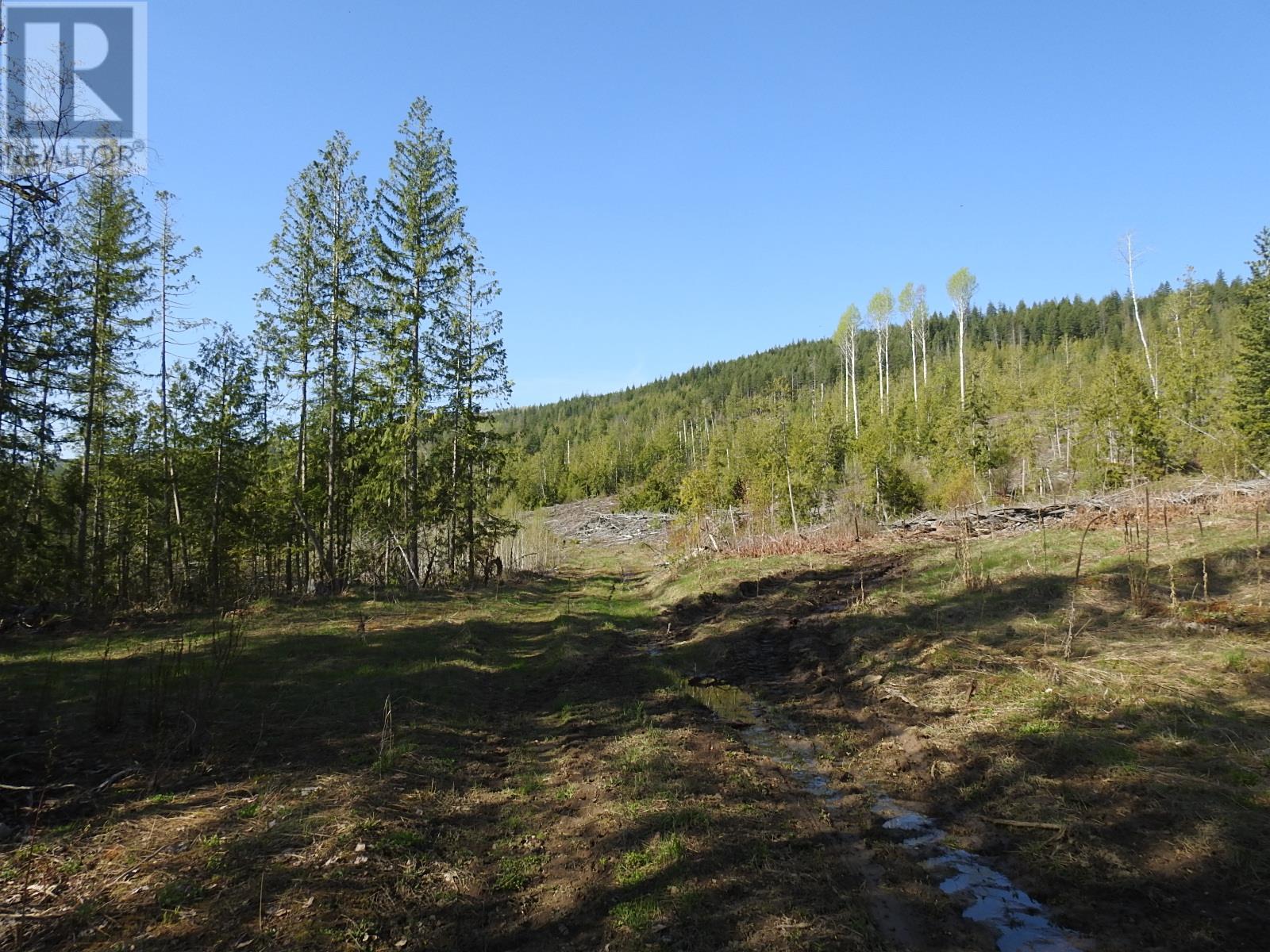 878 Deep Creek Road, Enderby, British Columbia  V0E 1V3 - Photo 26 - 10345606
