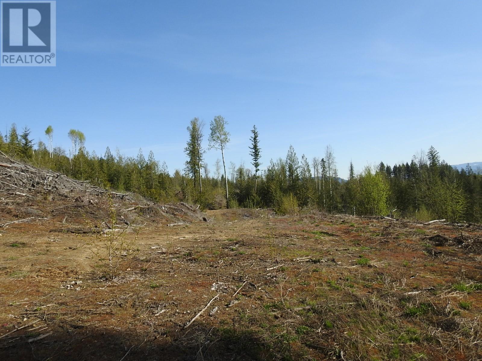 878 Deep Creek Road, Enderby, British Columbia  V0E 1V3 - Photo 31 - 10345606