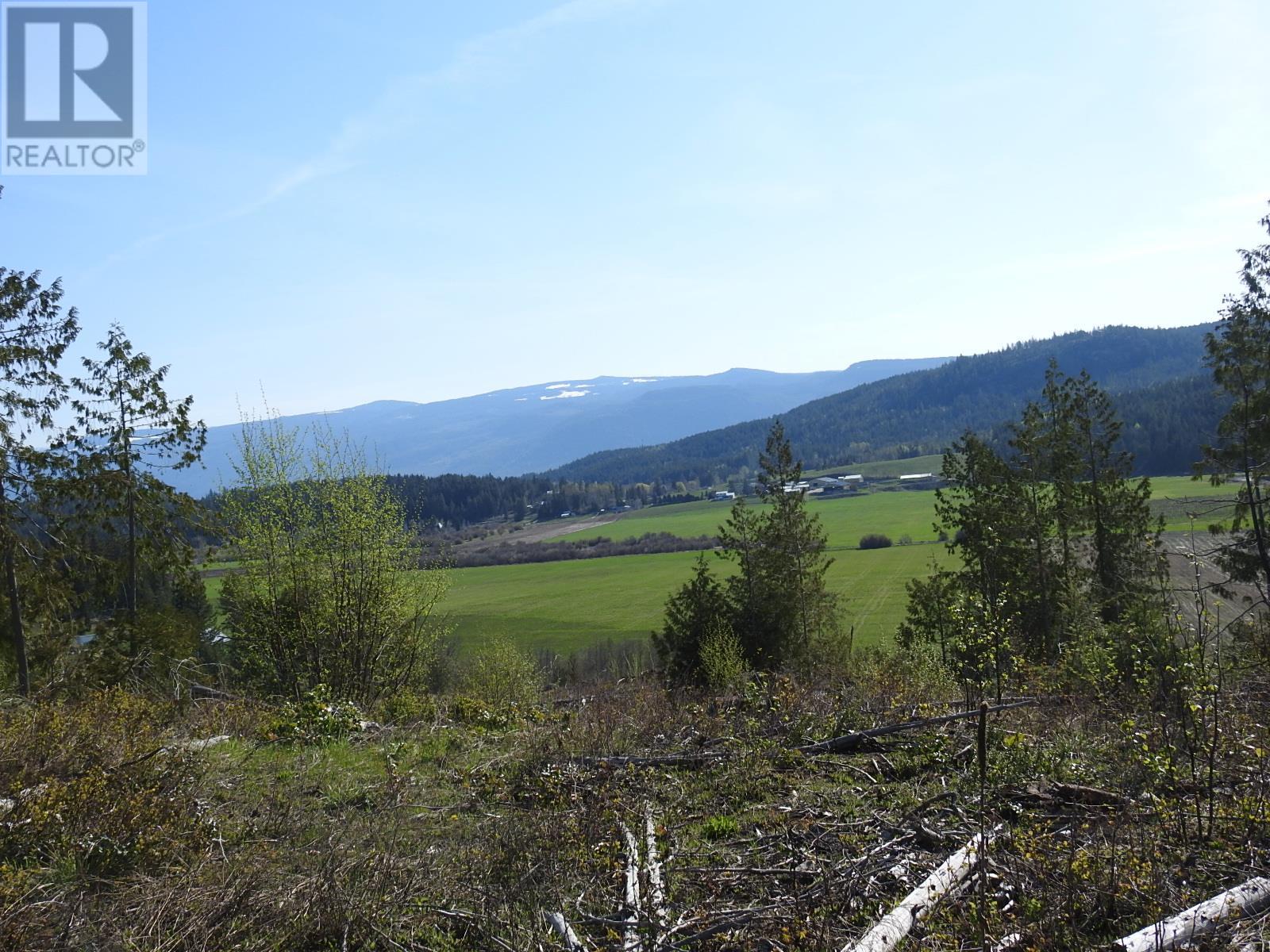 878 Deep Creek Road, Enderby, British Columbia  V0E 1V3 - Photo 33 - 10345606