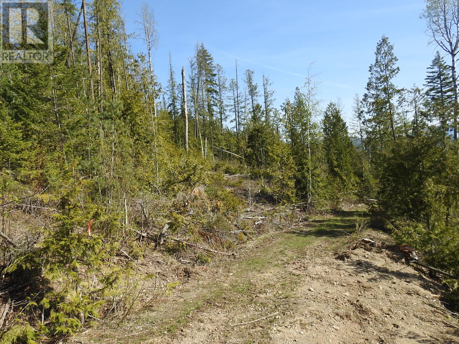 878 Deep Creek Road, Enderby, British Columbia  V0E 1V3 - Photo 42 - 10345606