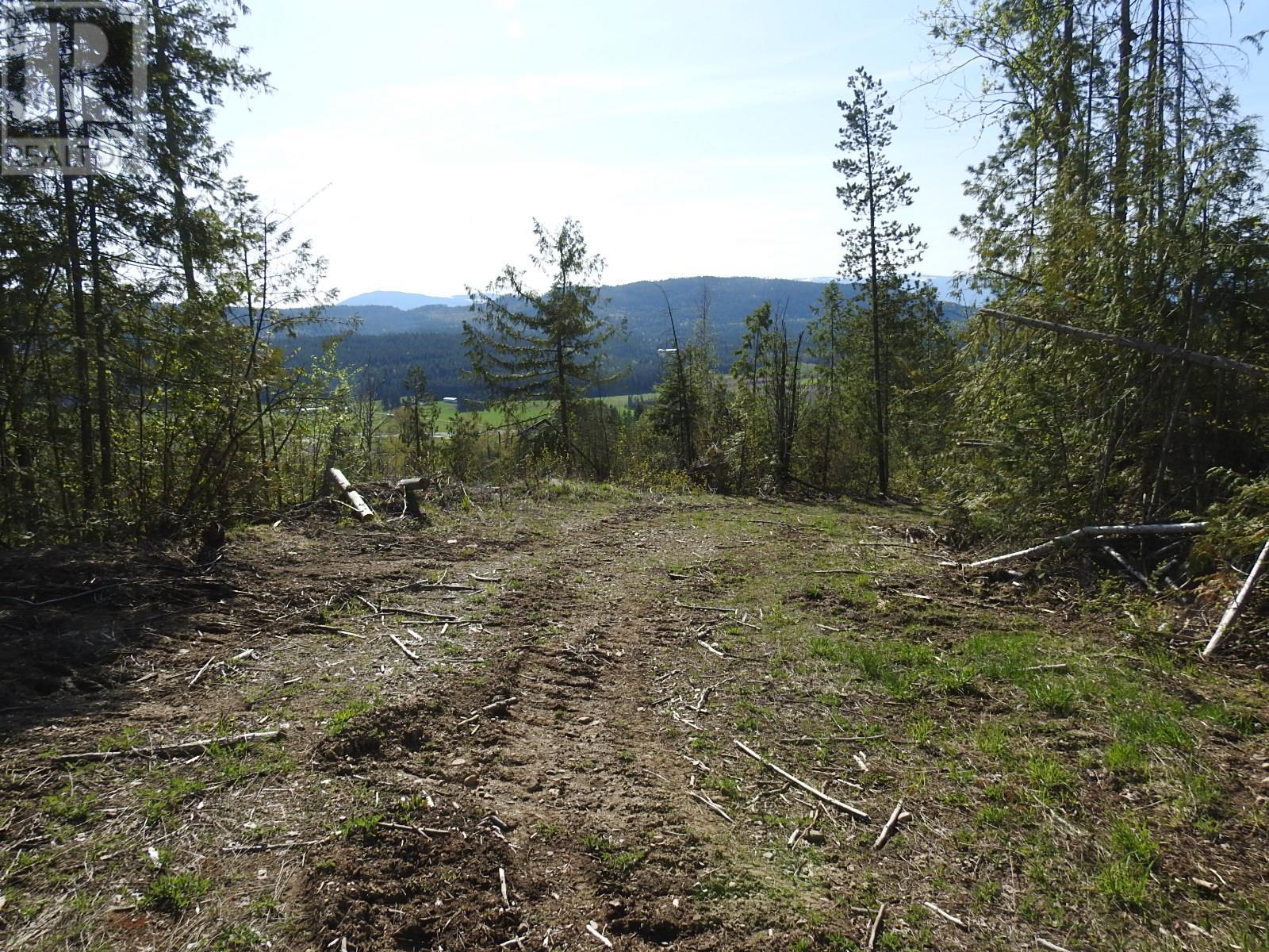 878 Deep Creek Road, Enderby, British Columbia  V0E 1V3 - Photo 43 - 10345606