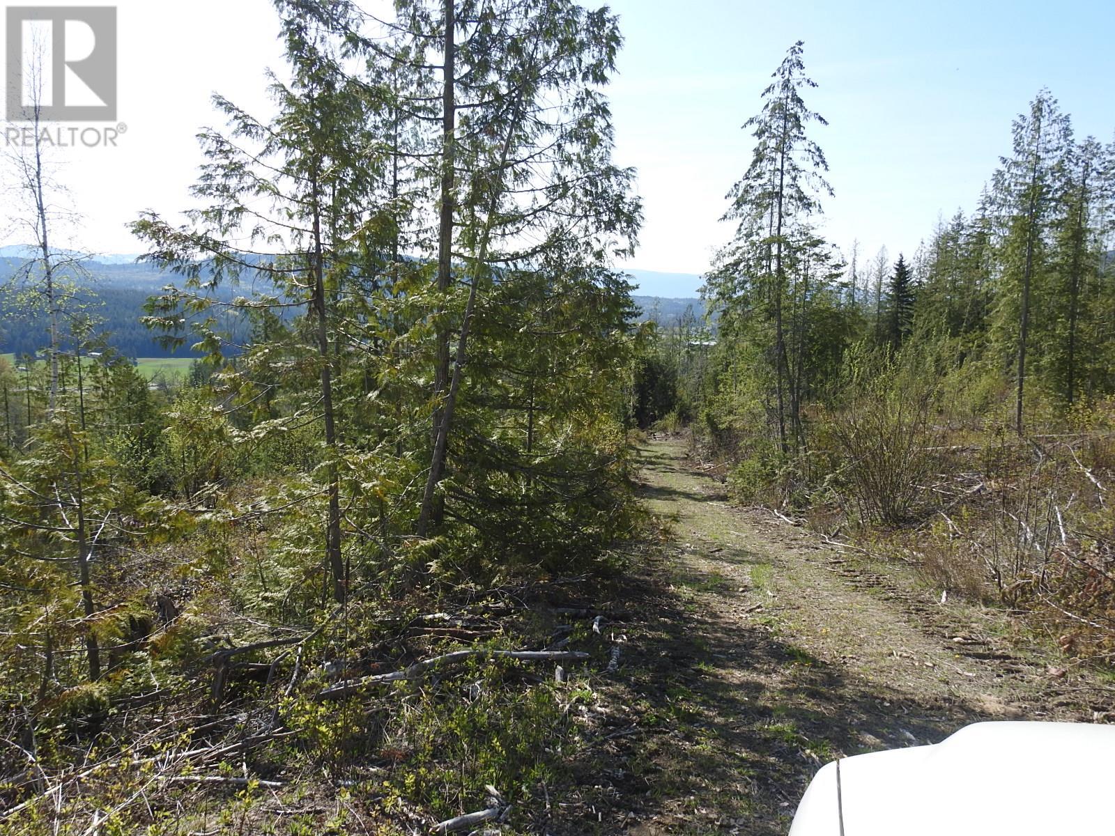 878 Deep Creek Road, Enderby, British Columbia  V0E 1V3 - Photo 44 - 10345606