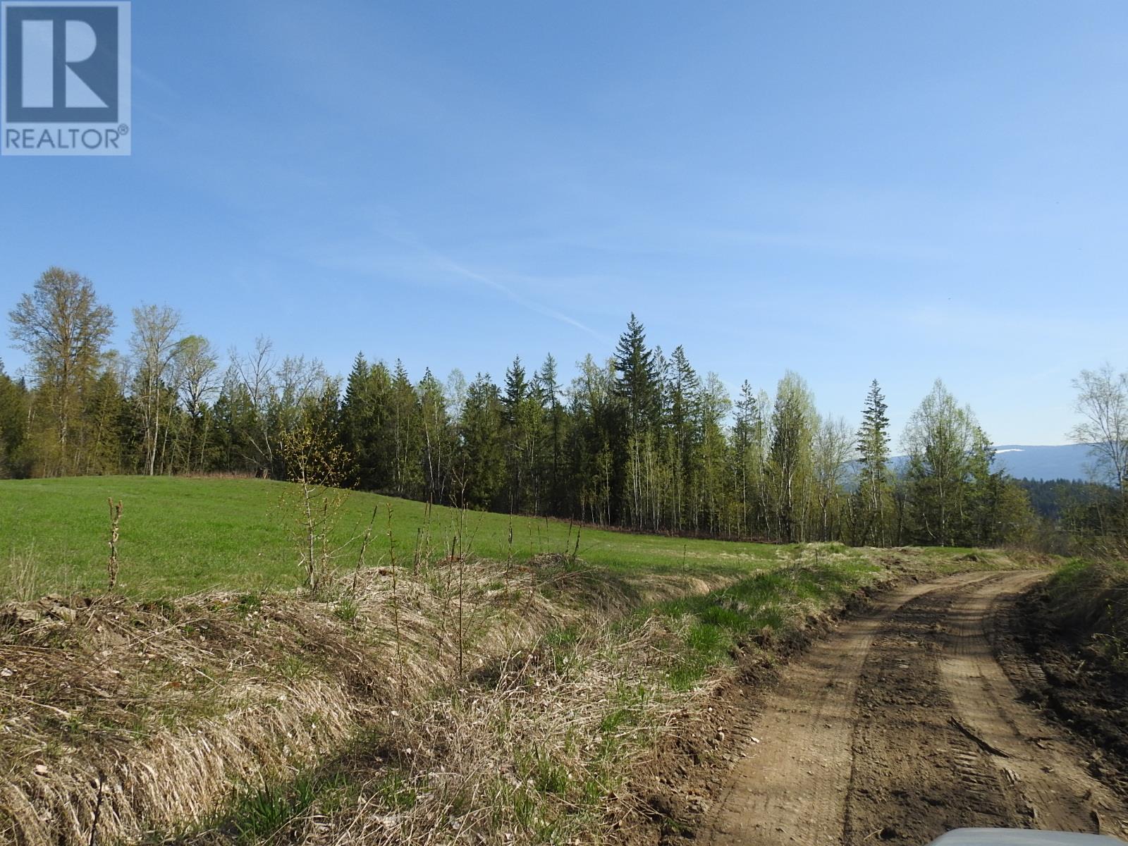 878 Deep Creek Road, Enderby, British Columbia  V0E 1V3 - Photo 45 - 10345606