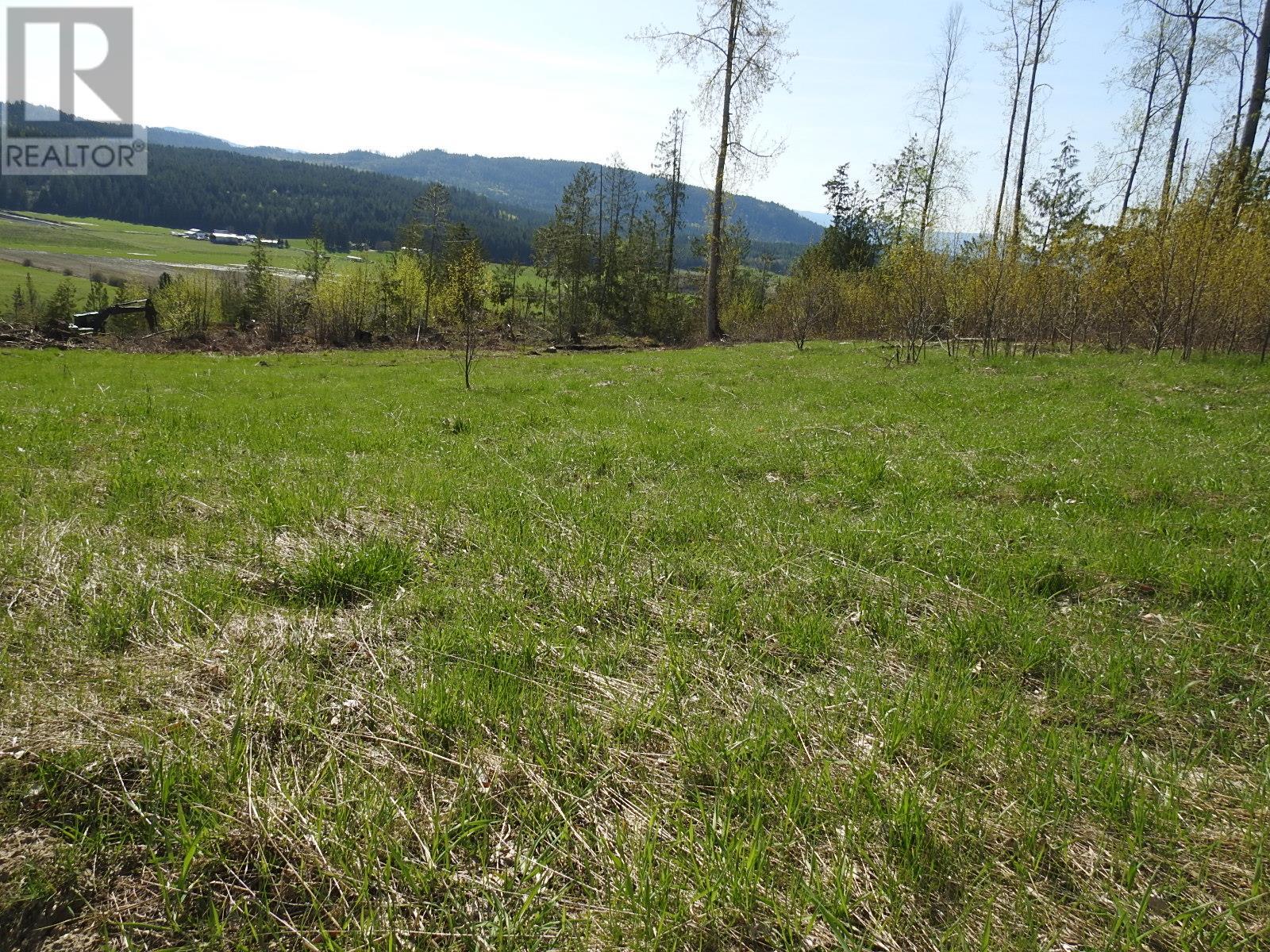 878 Deep Creek Road, Enderby, British Columbia  V0E 1V3 - Photo 47 - 10345606