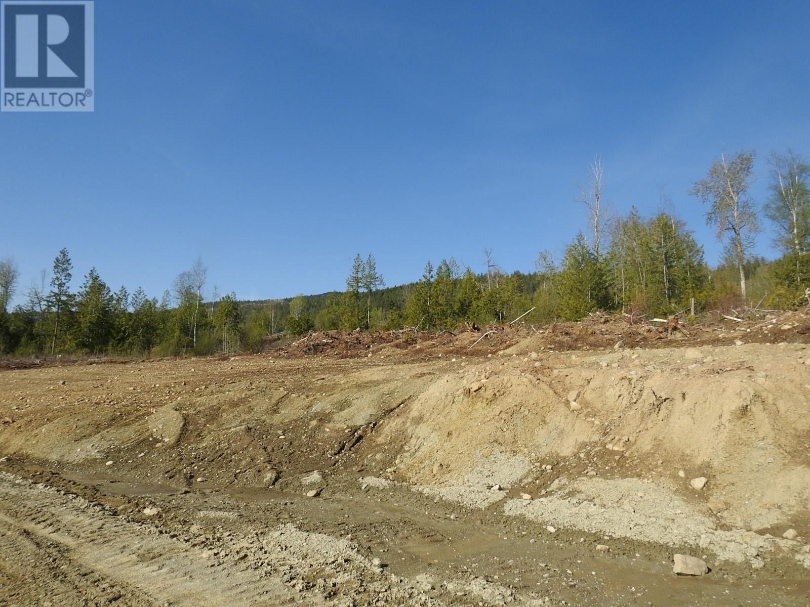 878 Deep Creek Road, Enderby, British Columbia  V0E 1V3 - Photo 9 - 10345606