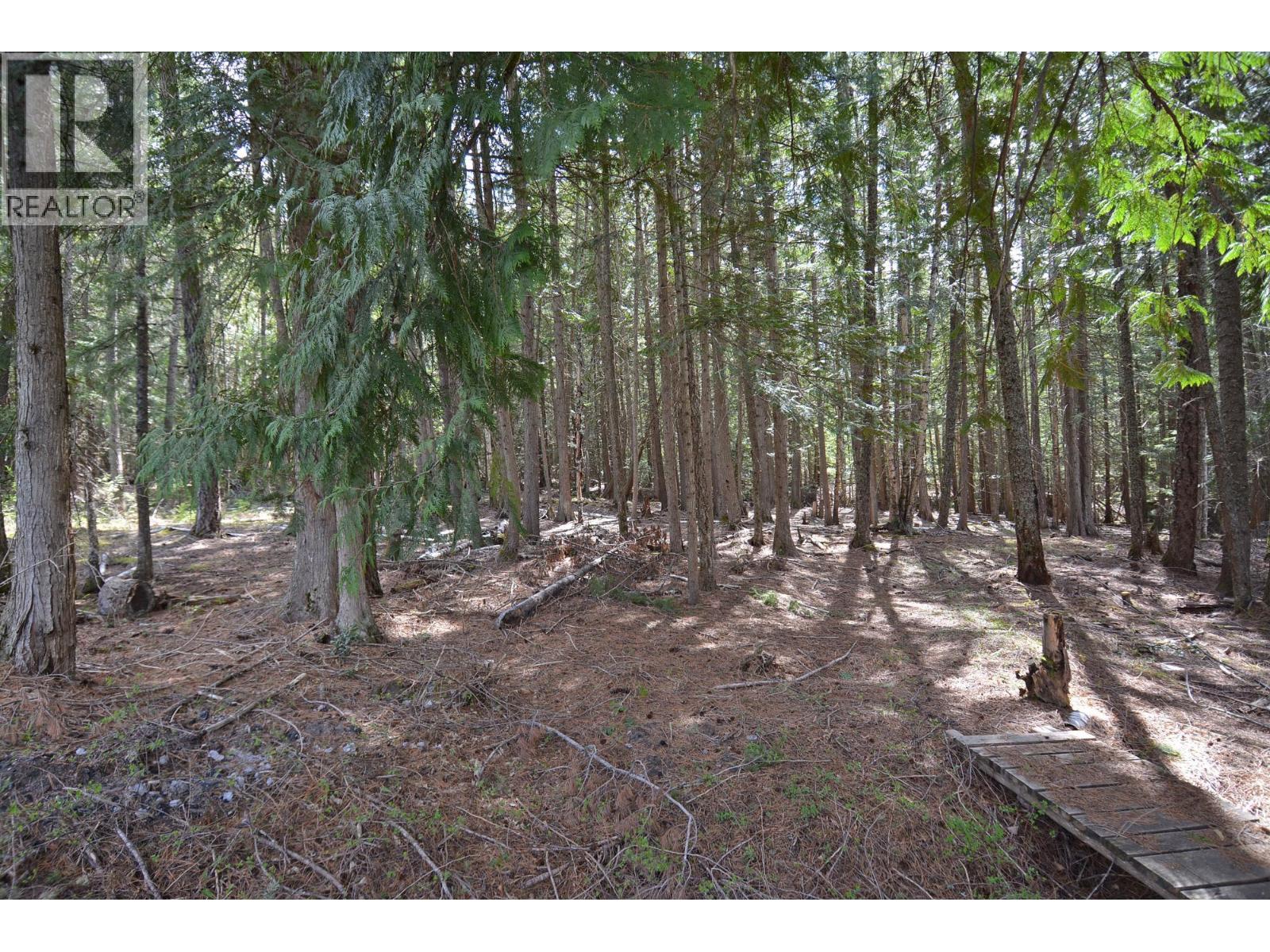 8481 6 Highway, Slocan, British Columbia  V1L 2C0 - Photo 14 - 10345730