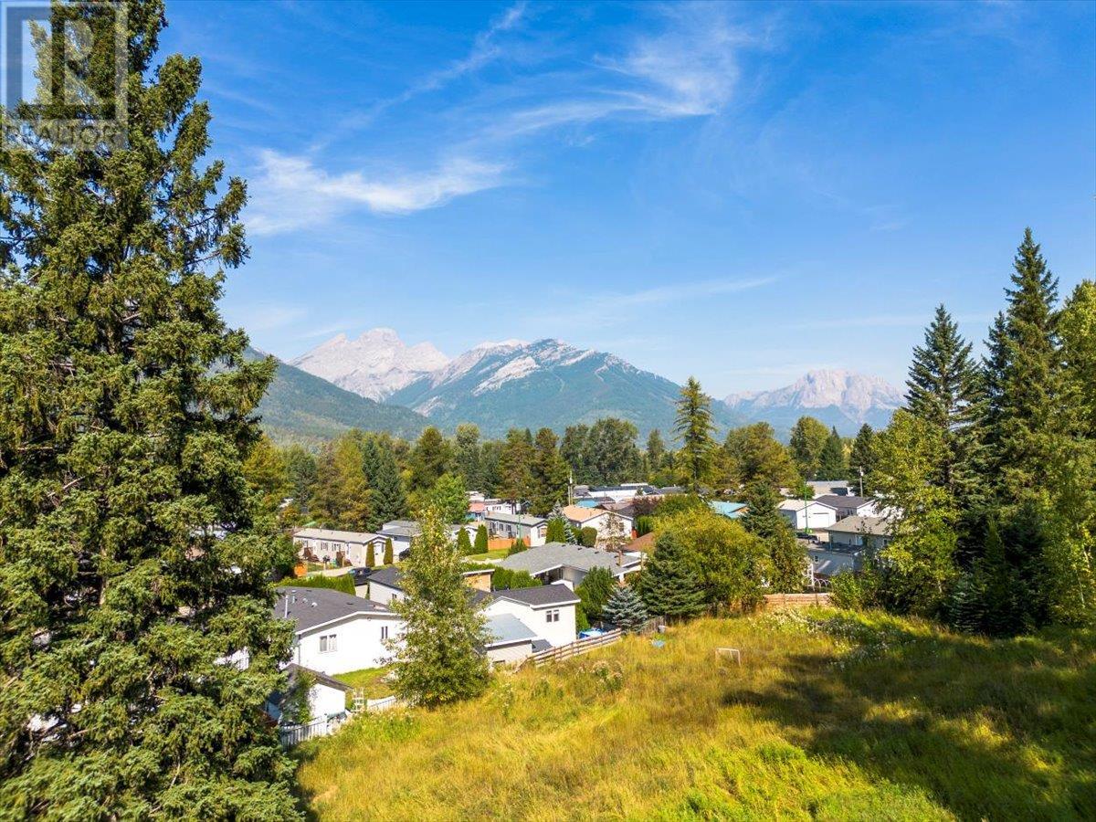 55 Castle Mountain Road, Fernie, British Columbia  V0B 1M4 - Photo 3 - 10345519