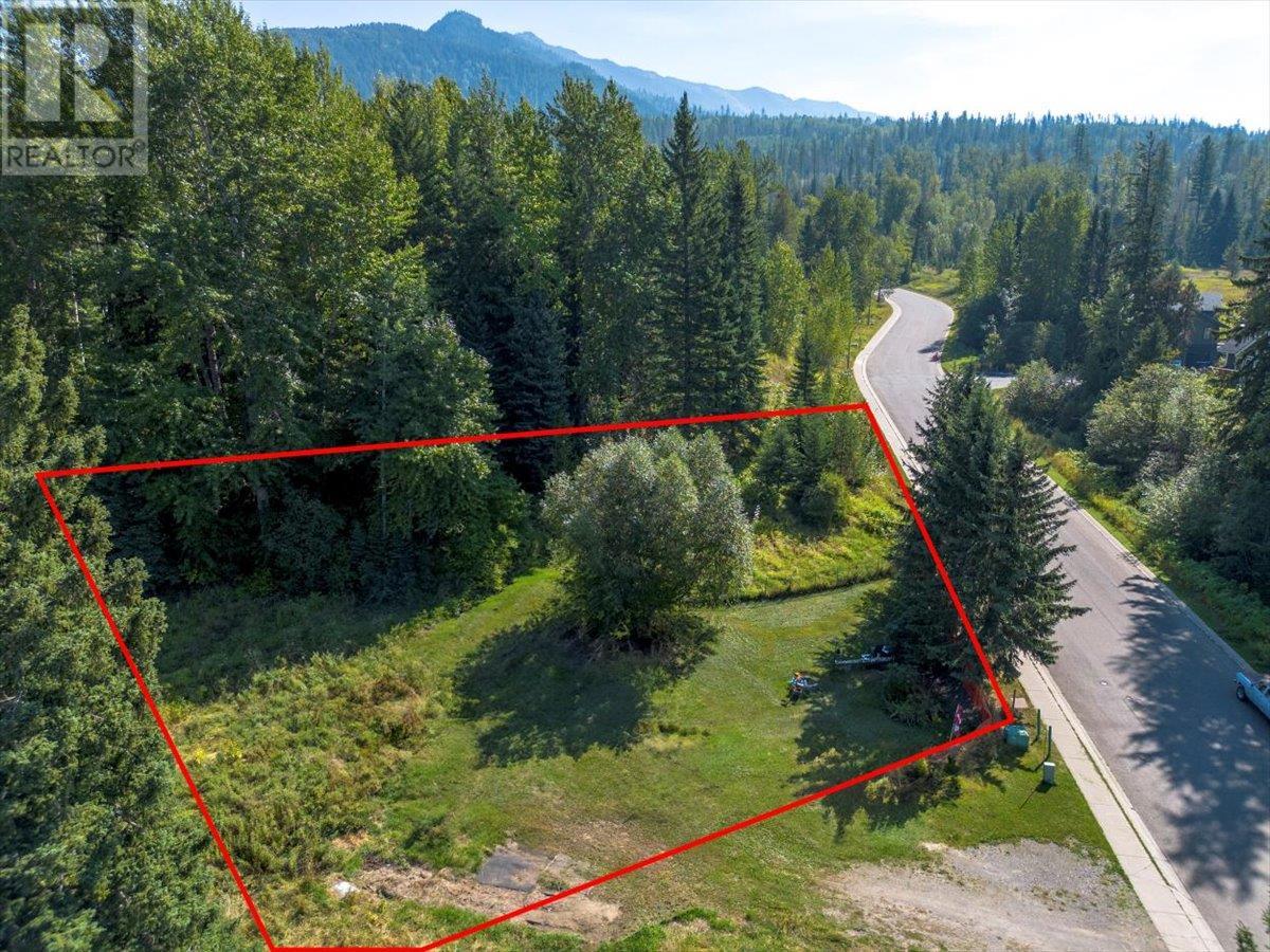 55 Castle Mountain Road, Fernie, British Columbia  V0B 1M4 - Photo 4 - 10345519