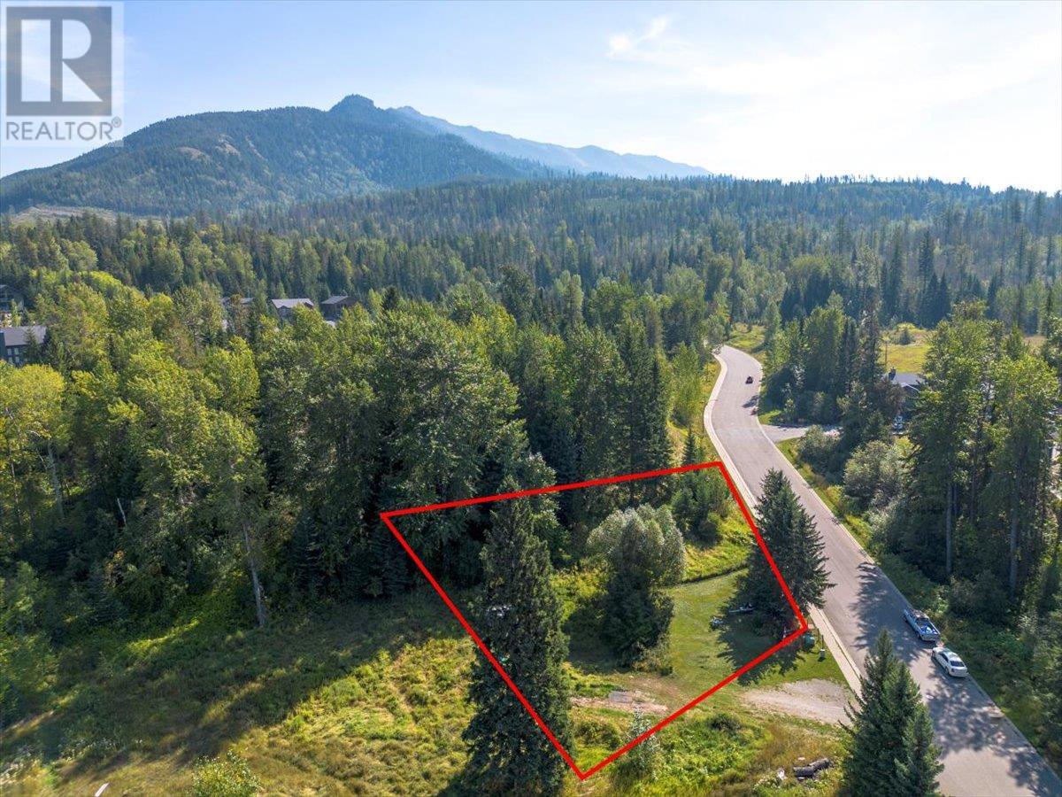 55 Castle Mountain Road, Fernie, British Columbia  V0B 1M4 - Photo 5 - 10345519