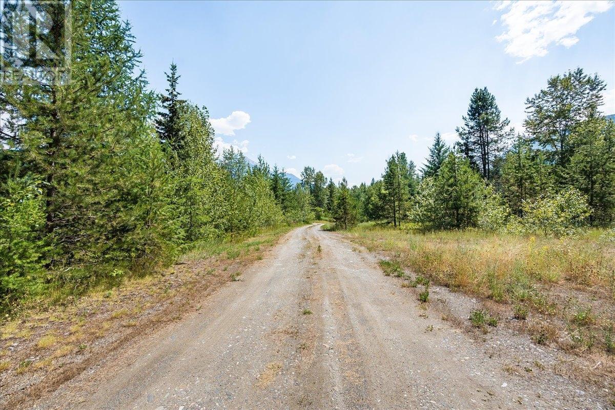 1025 Alexander Gravel Pit Road, Cooper Creek, British Columbia  V0G 1N0 - Photo 46 - 10338376