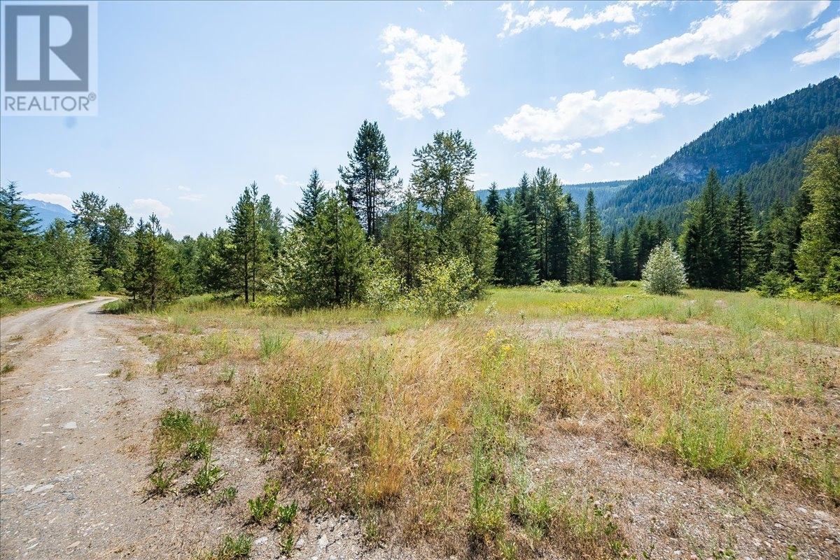 1025 Alexander Gravel Pit Road, Cooper Creek, British Columbia  V0G 1N0 - Photo 47 - 10338376