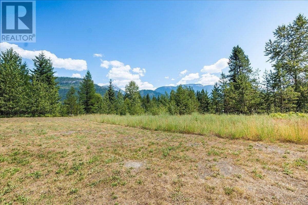 1025 Alexander Gravel Pit Road, Cooper Creek, British Columbia  V0G 1N0 - Photo 51 - 10338376
