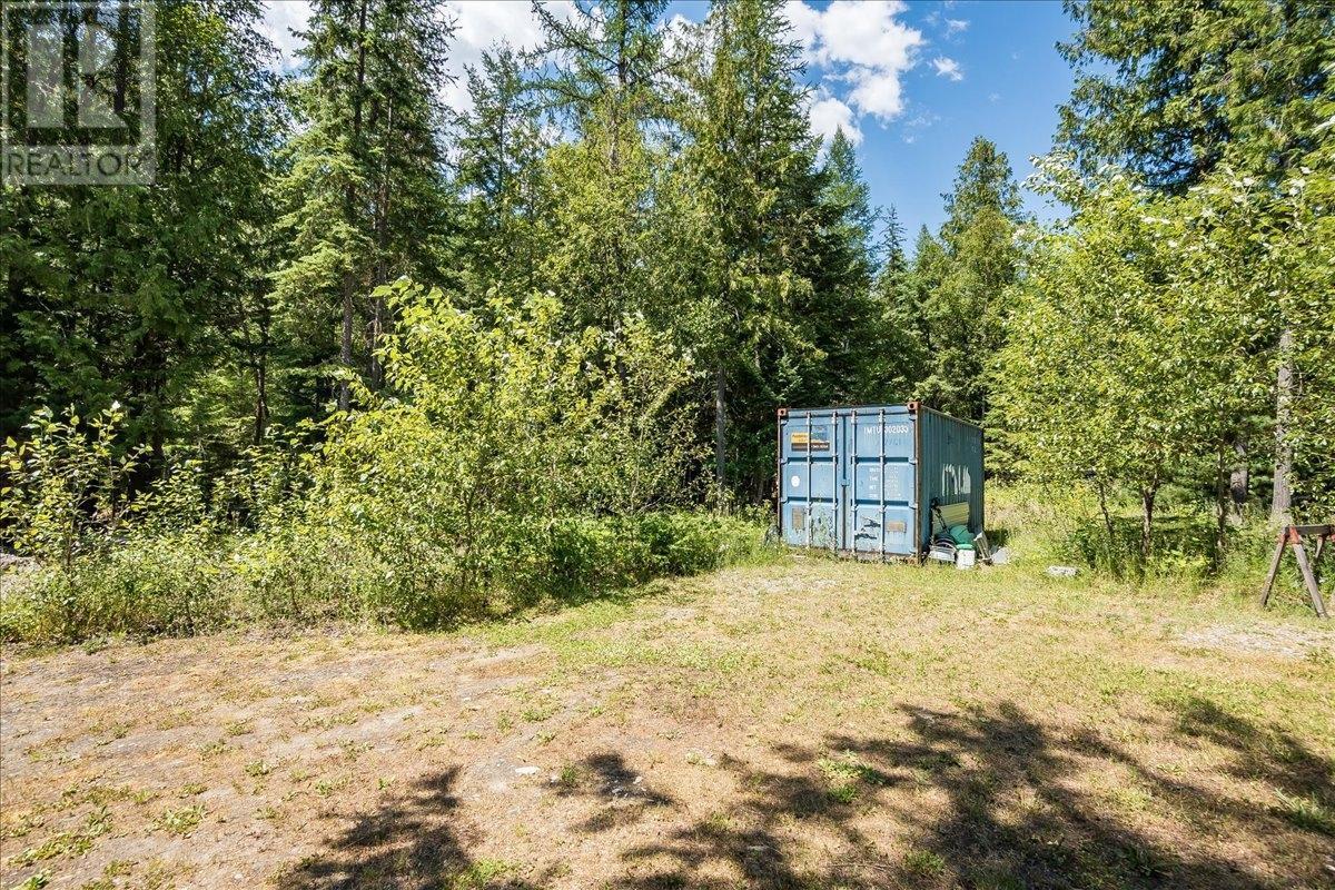 1025 Alexander Gravel Pit Road, Cooper Creek, British Columbia  V0G 1N0 - Photo 52 - 10338376