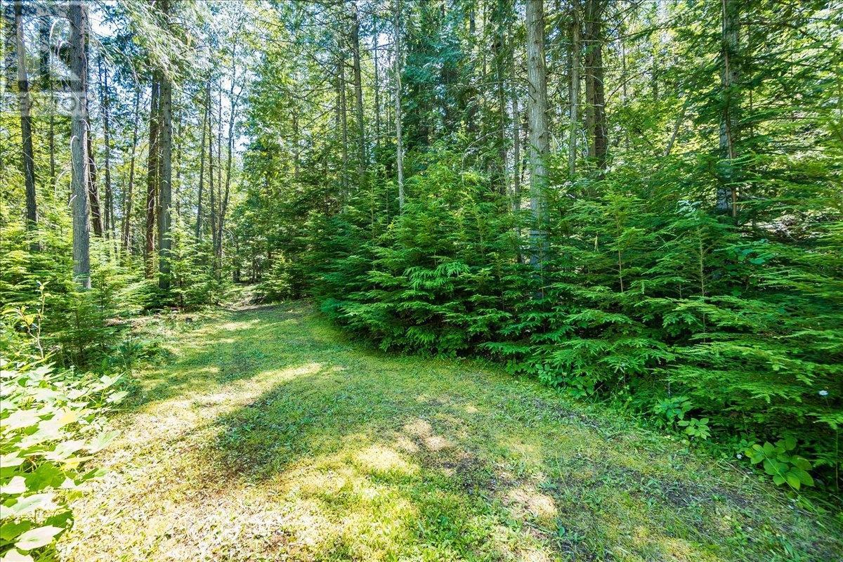 1025 Alexander Gravel Pit Road, Cooper Creek, British Columbia  V0G 1N0 - Photo 57 - 10338376