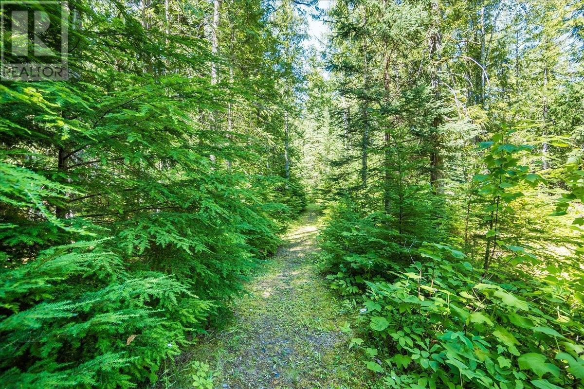 1025 Alexander Gravel Pit Road, Cooper Creek, British Columbia  V0G 1N0 - Photo 58 - 10338376