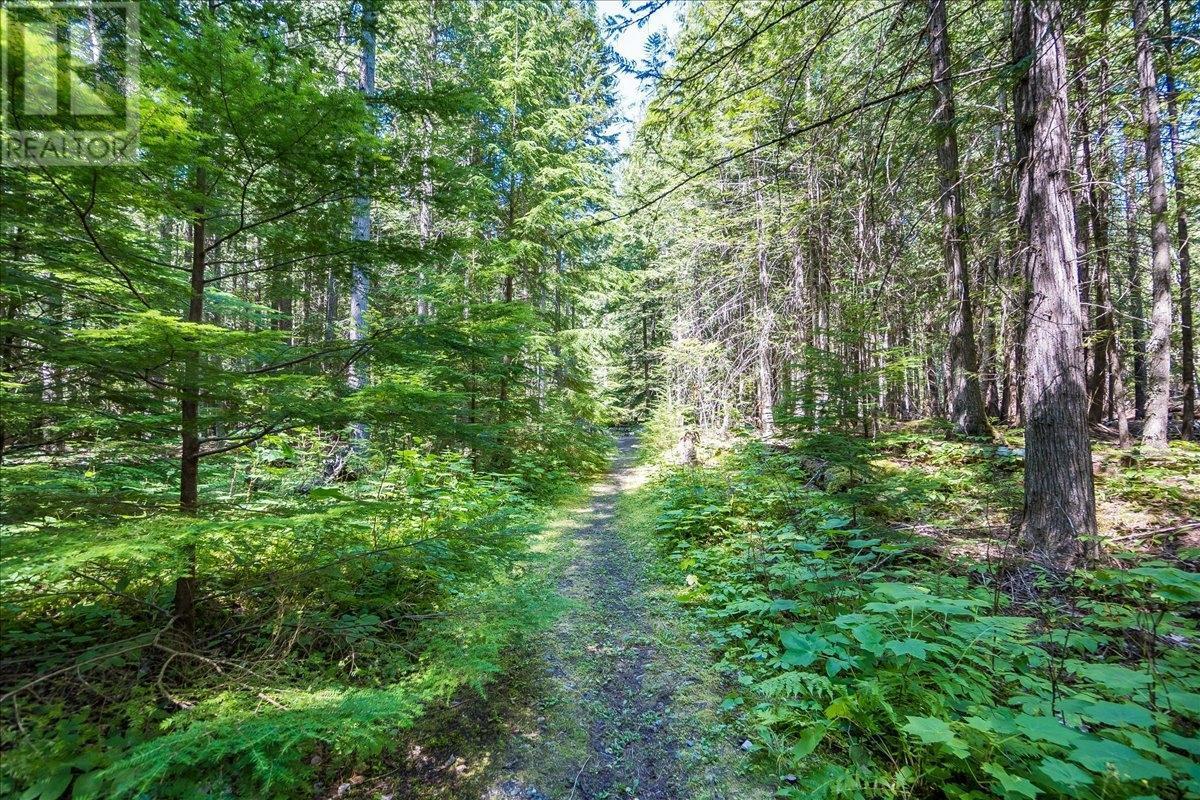 1025 Alexander Gravel Pit Road, Cooper Creek, British Columbia  V0G 1N0 - Photo 62 - 10338376