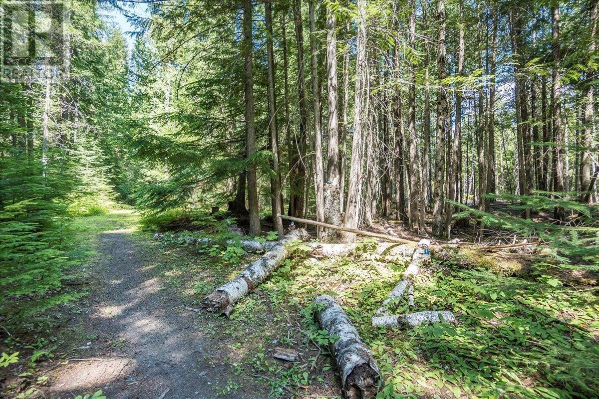 1025 Alexander Gravel Pit Road, Cooper Creek, British Columbia  V0G 1N0 - Photo 63 - 10338376