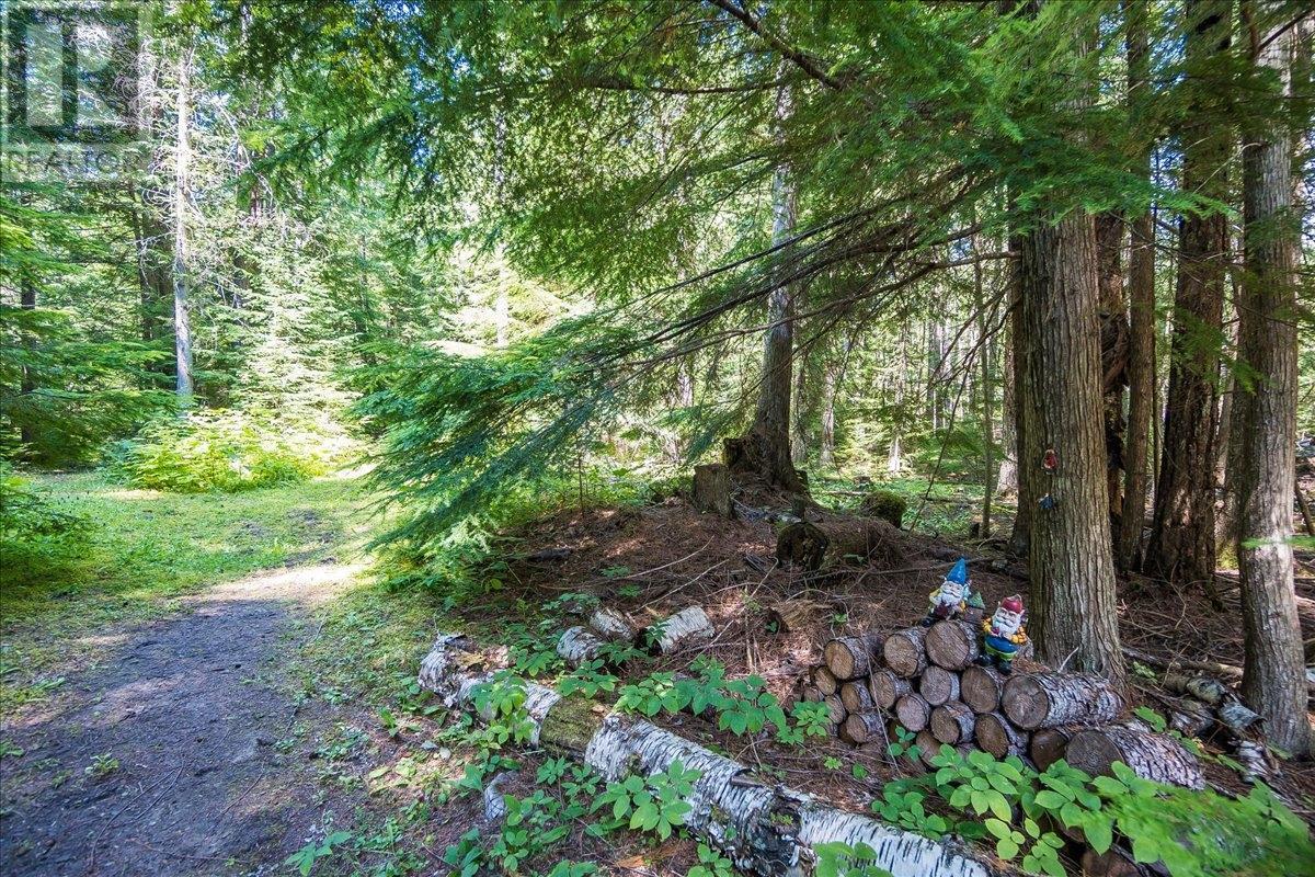 1025 Alexander Gravel Pit Road, Cooper Creek, British Columbia  V0G 1N0 - Photo 64 - 10338376