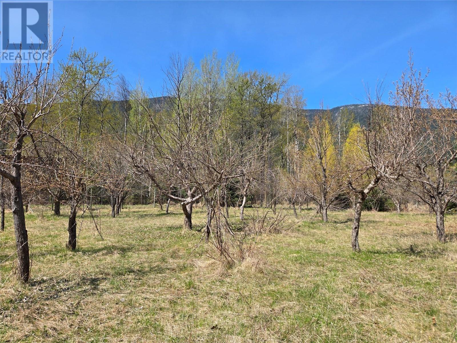 6268 Picard Road, Appledale, British Columbia  V0G 2J0 - Photo 30 - 10345836