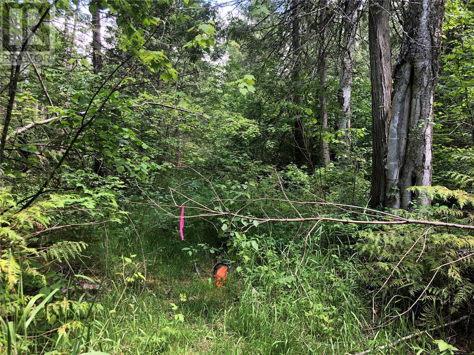 50 Valecairn Road, Enderby, British Columbia  V4Y 4L9 - Photo 11 - 10345369