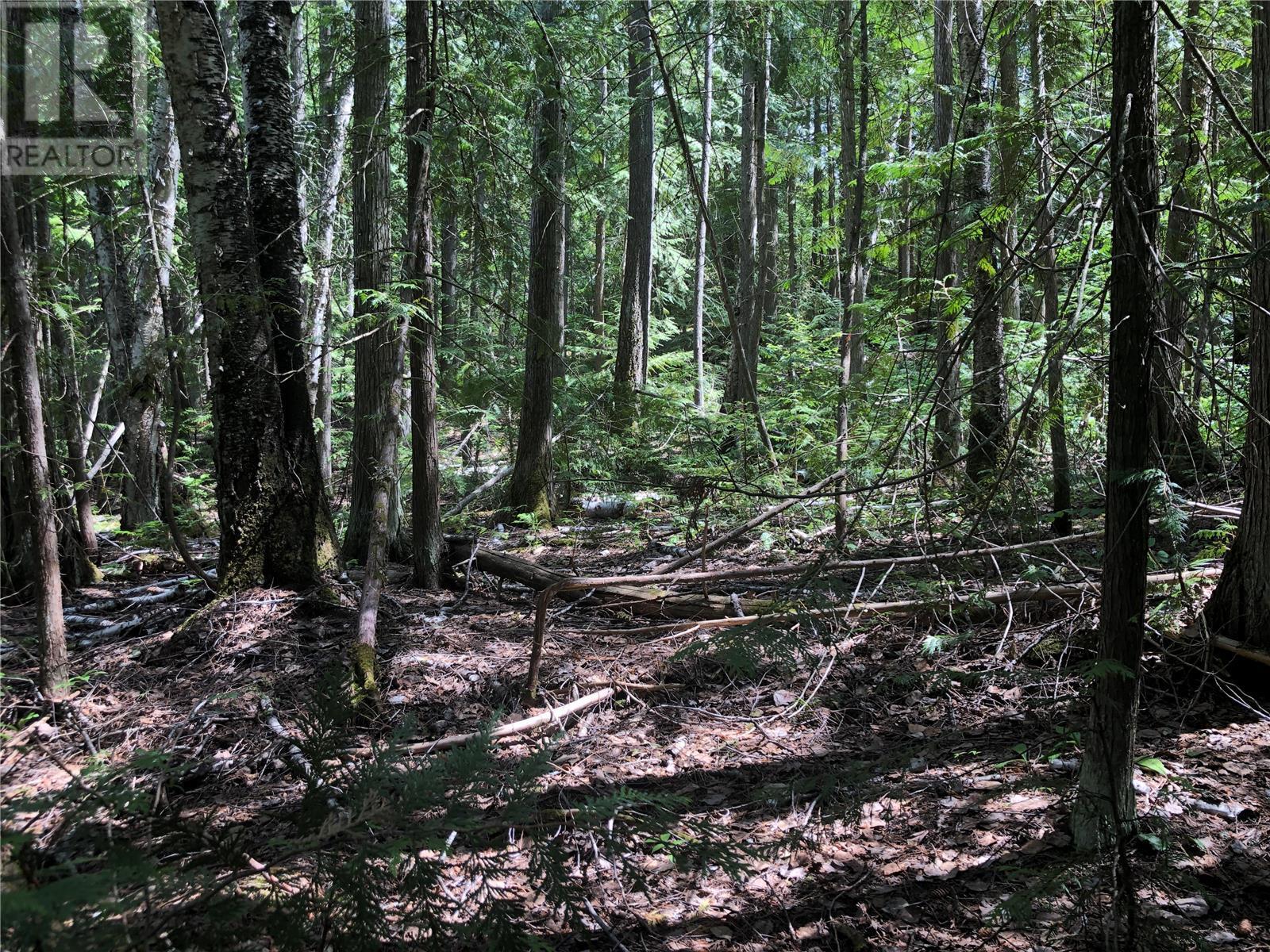 50 Valecairn Road, Enderby, British Columbia  V4Y 4L9 - Photo 12 - 10345369