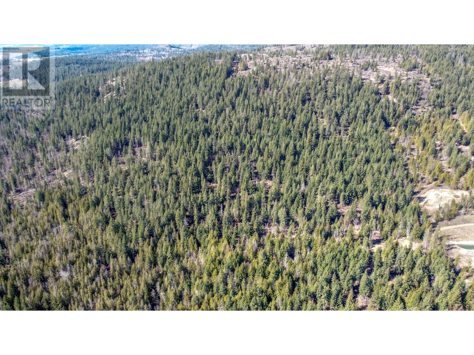 50 Valecairn Road, Enderby, British Columbia  V4Y 4L9 - Photo 22 - 10345369