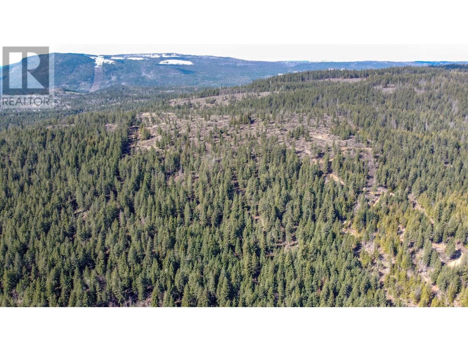 50 Valecairn Road, Enderby, British Columbia  V4Y 4L9 - Photo 23 - 10345369