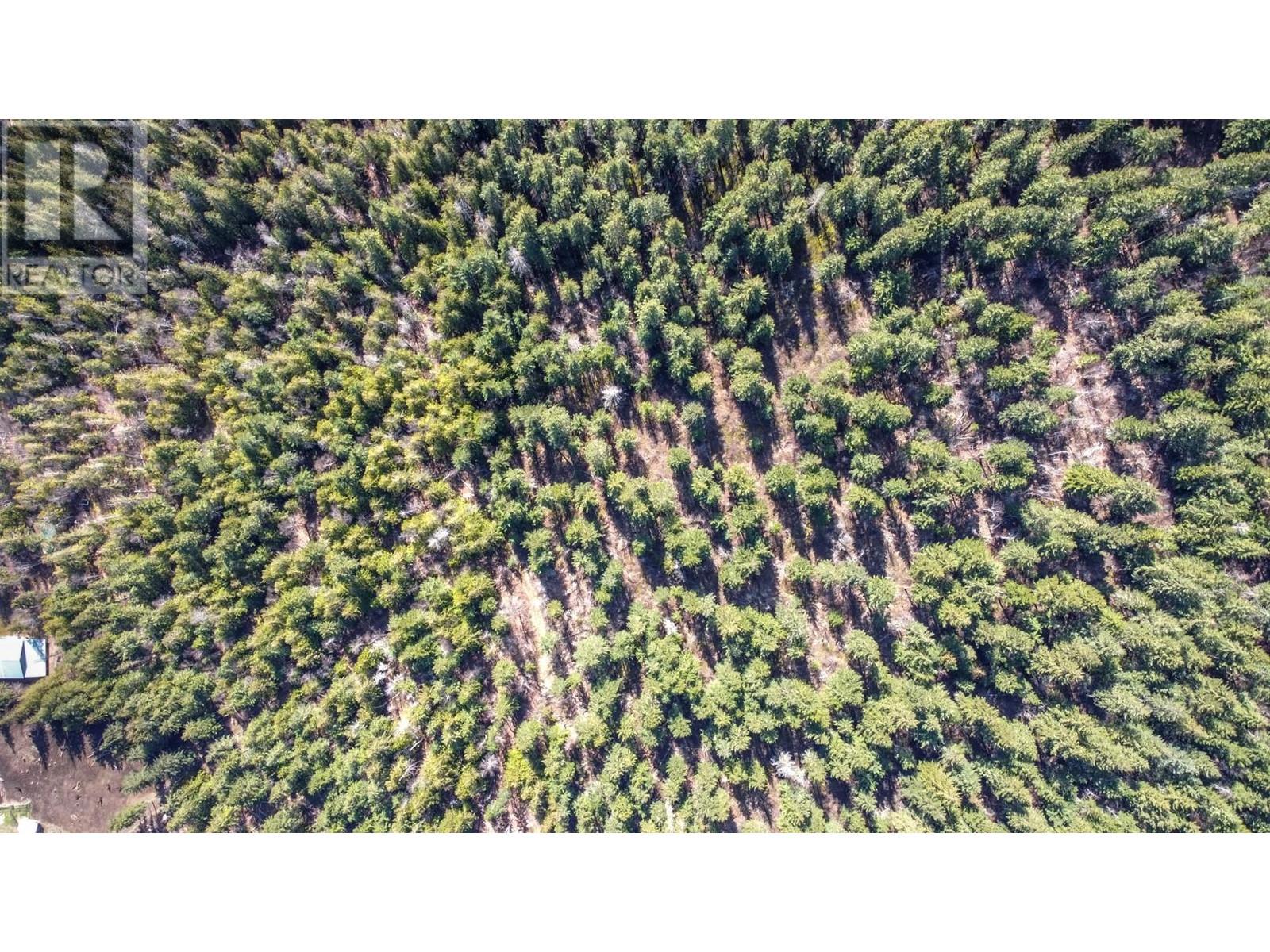 50 Valecairn Road, Enderby, British Columbia  V4Y 4L9 - Photo 25 - 10345369